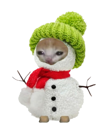 Snowman Cat